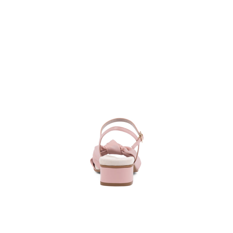 Maya Bellis Rose