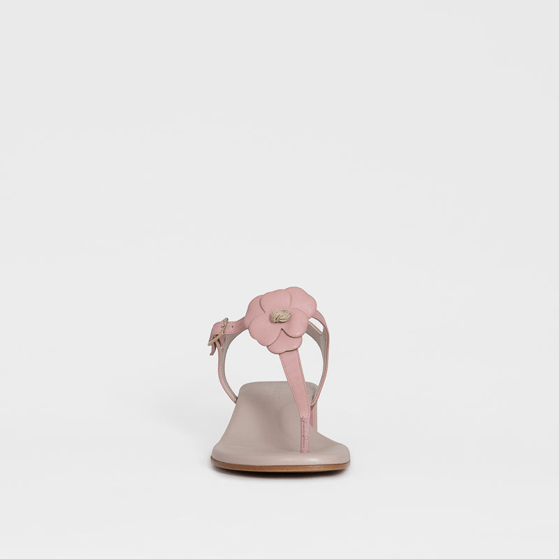 Annastasia Sandal Rose